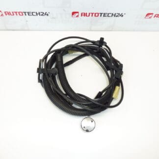 Καλωδίωση κεραίας Citroën C3 Pluriel 964515948002 6561Q8